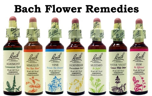 Aspen 20ml - Bach Original Flower Remedies