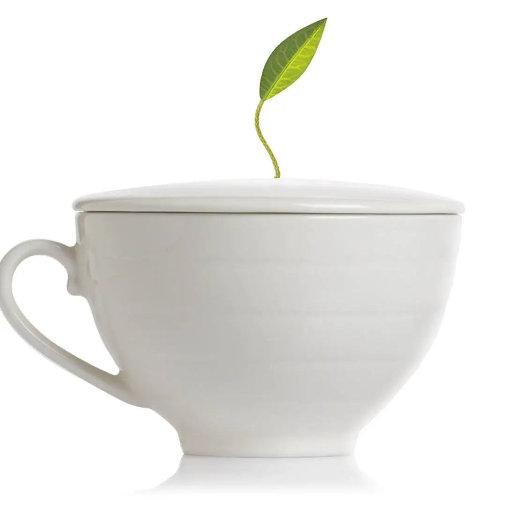 Tea Forte Cafe Cup Bone White