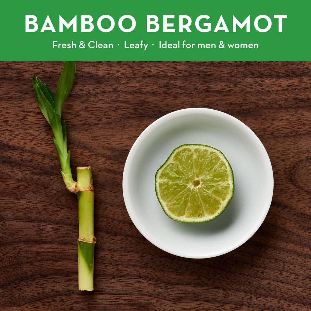 12oz Bamboo Bergamot Body Wash