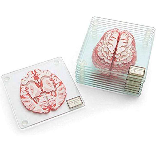 Use it or lose it brain specimen coasters
